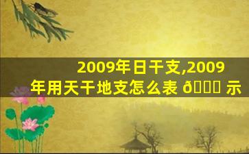 2009年日干支,2009年用天干地支怎么表 🐛 示